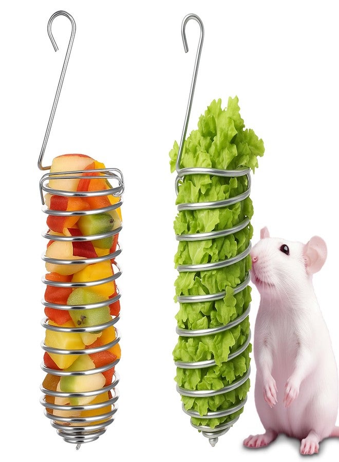 Hpmjz 2Pcs Rat Enrichment Toys Stainless Steel Bird Food Holder Rat Parrot Foraging Toy Hanging Rodent Toy Fruit Vegetable Holder Puzzle Toy Slow Feeder Parakeet Foraging Mice Cage Accessories - Image 1